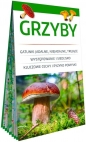 Grzyby. Poręczny, laminowany miniprzewodnik - Wiesław Kamiński