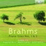 BRAHMS: PIANO TRIOS NOS. 1 & 3  GUTMAN TRIO