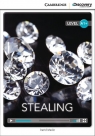 Stealing High Beginning Book with Online Acces Maule David