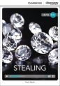 Stealing High Beginning Book with Online Acces - David Maule