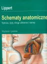 Schematy anatomiczne