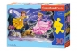 Puzzle 30: Cinderella