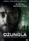 Dżungla