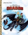 Dreamworks How to Train Your Dragon Finley Shawn