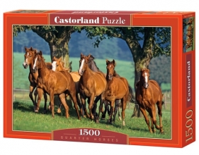 Puzzle Quarter Horses 1500 (150748)