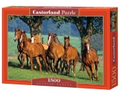 Puzzle Quarter Horses 1500 (150748)
