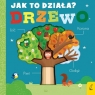 Jak to działa? Drzewo Otter Isabel