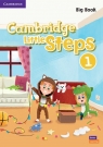  Cambridge Little Steps 1. Big Book