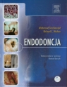 Endodoncja Wersja bez płyty CD Torabinejad Mahmoud, Walton Richard E.