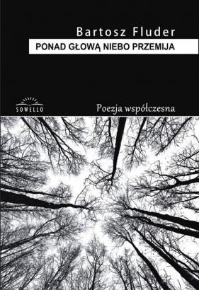 Ponad głową niebo przemija - Bartosz Fluder