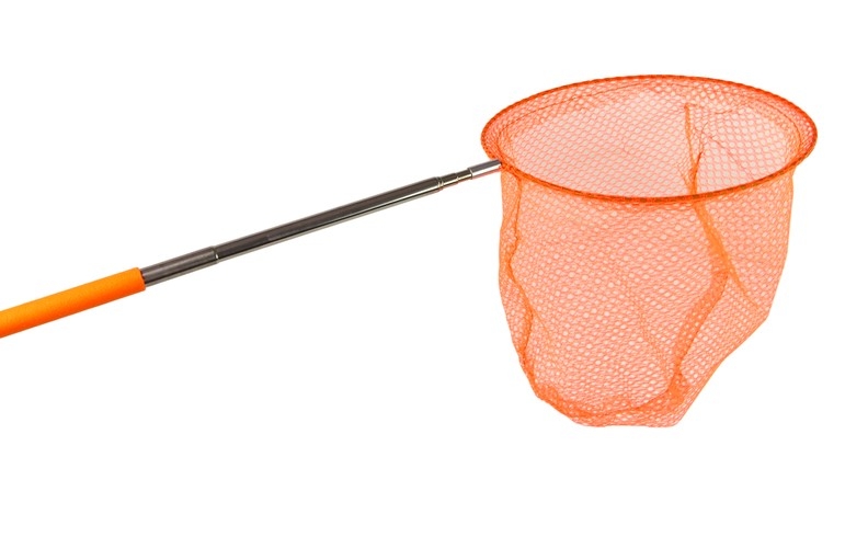 <img src='https://webimage.pl/pics/750/5/d5905515355070_2.jpg' style='height:440px' /> Siatka na motyle teleskopowa pomarańczowa 85cm