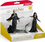 Voldemort & Bellatrix Wizarding World