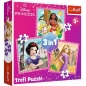 Puzzle 3w1 Księżniczki Disneya Piękne kwiaty (34875)