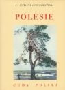 Polesie Cuda Polski Ossendowski Antoni F.