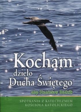 Kocham dzieło Ducha Świętego - Stanisław Budzik