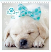 Kalendarz 2020 planszowy 32x32 Puppy Sign