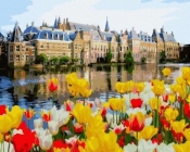 Malowanie po numerach - Pałac w tulipanach 40x50cm
