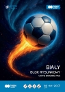 Paczka Blok rysunkowy biały Cosmo Ball A4 80g. 20ark. Happy Color 20 sztuk