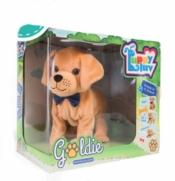 Goldie - interaktywny piesek (DKO8275)