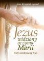 Jezus widziany oczyma Marii - Joan Ireland