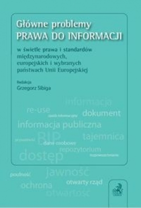 Główne problemy prawa do informacji