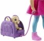 Lalka Barbie Dreamhouse Adventures: Chelsea w podróży (FWV20)
