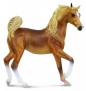 Klacz rasy arabskiej maści golden chestnut (88475)