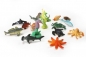 Coral Reef (54575)