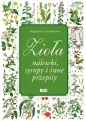 Zioła i nalewki - Magdalena Gorzkowska