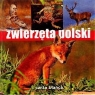 Zwierzęta Polski praca zbiorowa