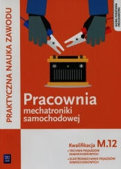 Pracownia mechatroniki samochodowej. Diagnozowanie oraz naprawa elektrycznych i elektronicznych układów pojazdów samochodowych. Kwalifikacja M.12. Praktyczna nauka zawodu. Szkoły ponadgimnazjalne - Grzegorz Dyga, Grzegorz Trawiński