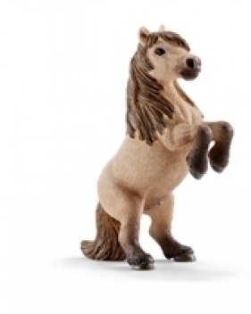 Życie na farmie Mini Shetty Ogier (13775)