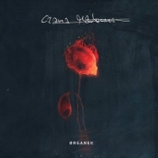 Czarna Madonna (Digipack)