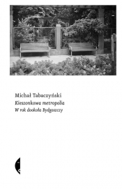 Kieszonkowa metropolia - Michał Tabaczyński