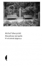 Kieszonkowa metropolia - Michał Tabaczyński