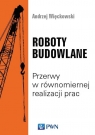 Roboty budowlane Przerwy w równomiernej realizacji prac Andrzej Więckowski