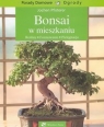 Bonsai w mieszkaniu Rośliny, formowanie, pielęgnacja Pfisterer Jochen