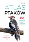  Atlas ptaków. 250 gatunków żyjących w Polsce