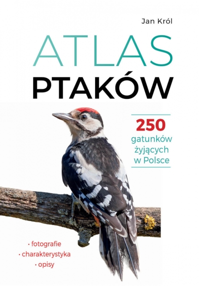 Atlas ptaków. 250 gatunków żyjących w Polsce