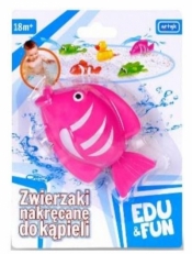 Zabawka do wody Różowa Rybka Edu&Fun