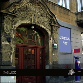 Amor fati - Brakoniecki Kazimierz