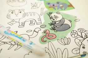 Książeczka wodna z naklejkami (122755)