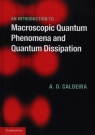 An Introduction to Macroscopic Quantum Phenomena and Quantum Dissipation  Caldeira Amir O.