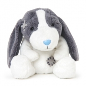 Niebieski nosek Basset Betsey