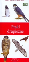 Ptaki drapieżne. Przewodnik