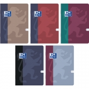 Zeszyt Oxford B-You B5/60k - kratka z marginesem, 1 szt