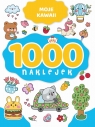 1000 naklejek. Moje Kawaii Izabella Sieńko-Holewa
