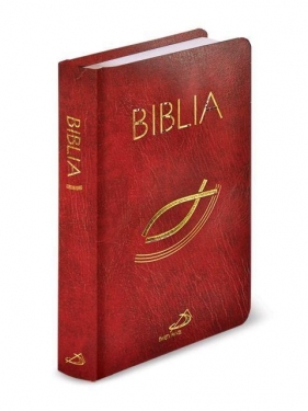 Biblia - Praca zbiorowa