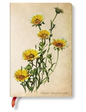 Notatnik Woodland Daisies Mini linia