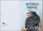 Bestiariusz nordycki - Natalia Mazur-Rodak